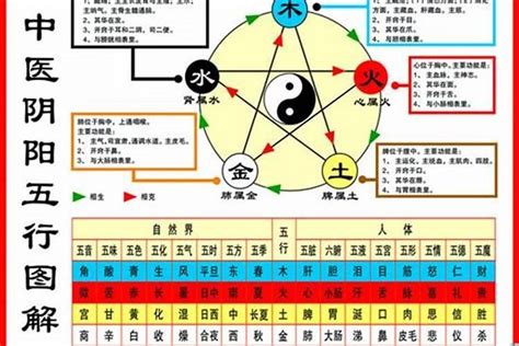 1984出生|1984年属鼠是什么命，84年出生五行属什么